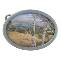 VIEWS OF WALES BELT BUCKLE