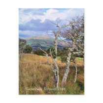 VIEWS OF WALES POST CARD