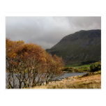 VIEWS OF WALES POSTCARDS