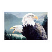 "Vigilance" Bald Eagle Pair Watercolor posters by PaulJacksonart "Vigilance" Bald Eagle Pair Watercolor posters
