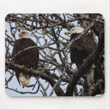 Vigilant Bald Eagles Mousepad