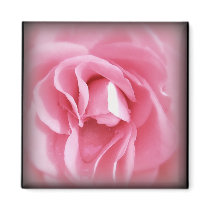 Vignetted Rose magnet