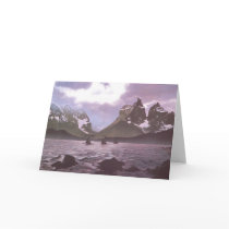 VIKING DAWN CARDS