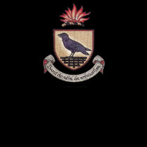 VIKING RAVEN BADGE t-shirts