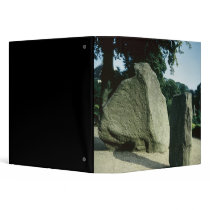 Viking rune stones binders