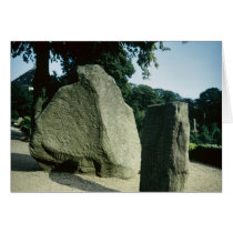 Viking rune stones greeting card