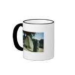 Viking rune stones mugs