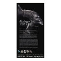 Viktor Schreckengost Ceramics Legacy posters