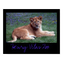 Vilas Zoo Cub posters by KiraDott Vilas Zoo Cub posters