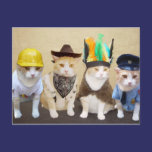 Village Kitties postcards