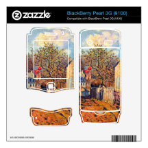 Village of Voisins  by Sisley BlackBerry Pearl 3G Skin