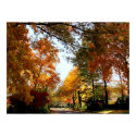 Village Street in Autumn print