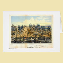 Ville de Sacramento, 1849.  cards