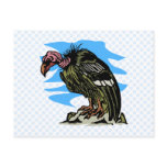 Vilma Vulture Post Cards