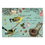 Vinage French Birds notecard cards