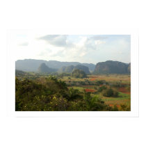 Vinales posters