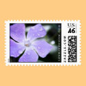 Vinca Minor postage by heatherlenkin Vinca Minor postage