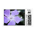 Vinca Minor postage by heatherlenkin Vinca Minor postage