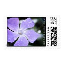 Vinca Minor postage by heatherlenkin Vinca Minor postage