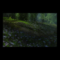 Vinca Plants posters