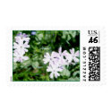 vinca postage