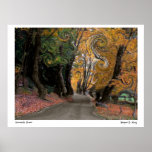 Vincent’s Curve Posters