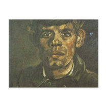 vincent van gogh head of a young peasant in a peak postcards