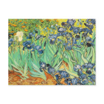 Vincent Van Gogh - Irises Postcard