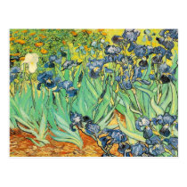 Vincent Van Gogh - Irises postcards