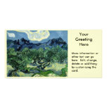 Vincent van Gogh's Olive Trees (1889) Photo Greeting Card