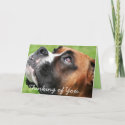 Vindy - Thinking of You - Boxer card