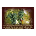 Vine and Branches John 15:5 Poster Print