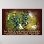 Vine and Branches John 15:5 Poster Print posters