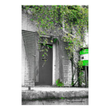 Vine Door Picture Print Photo Art