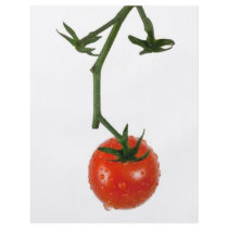 Vine tomato full color flyer