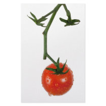 Vine tomato stationery design