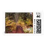 vinemaplewoods postage