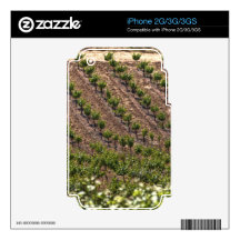 Vines In Field Skin For The iPhone 2G