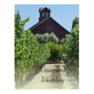 Vineyard and Barn Wedding Save the Date Postcard