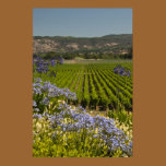 Vineyard and Purple Flowers Print posters