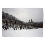 Vineyard and Reichenstein Castle, Arlesheim Greeting Cards