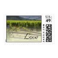 Vineyard and Rose Fence Love Wedding Postage Stamp