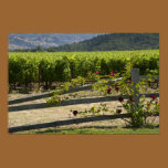Vineyard and Rose Fence Poster Print posters