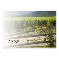 Vineyard and Rose Fence Wedding Response Card Invites