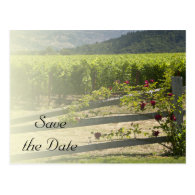 Vineyard and Rose Fence Wedding Save the Date Postcard