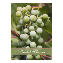 Vineyard Bridal Shower Invitation