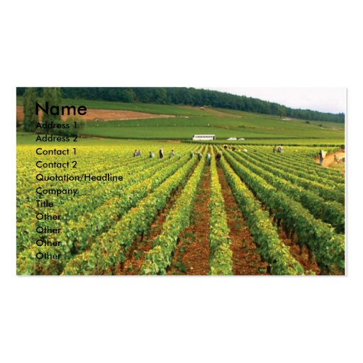 Vineyard Business Card (front side)