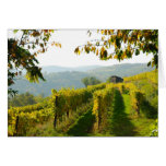 Vineyard cards