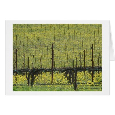 Vineyard Filled with Mustard in Napa Greeting Card by nanestewart