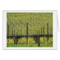 Vineyard Filled with Mustard in Napa cards by nanestewart Vineyard Filled with Mustard in Napa cards